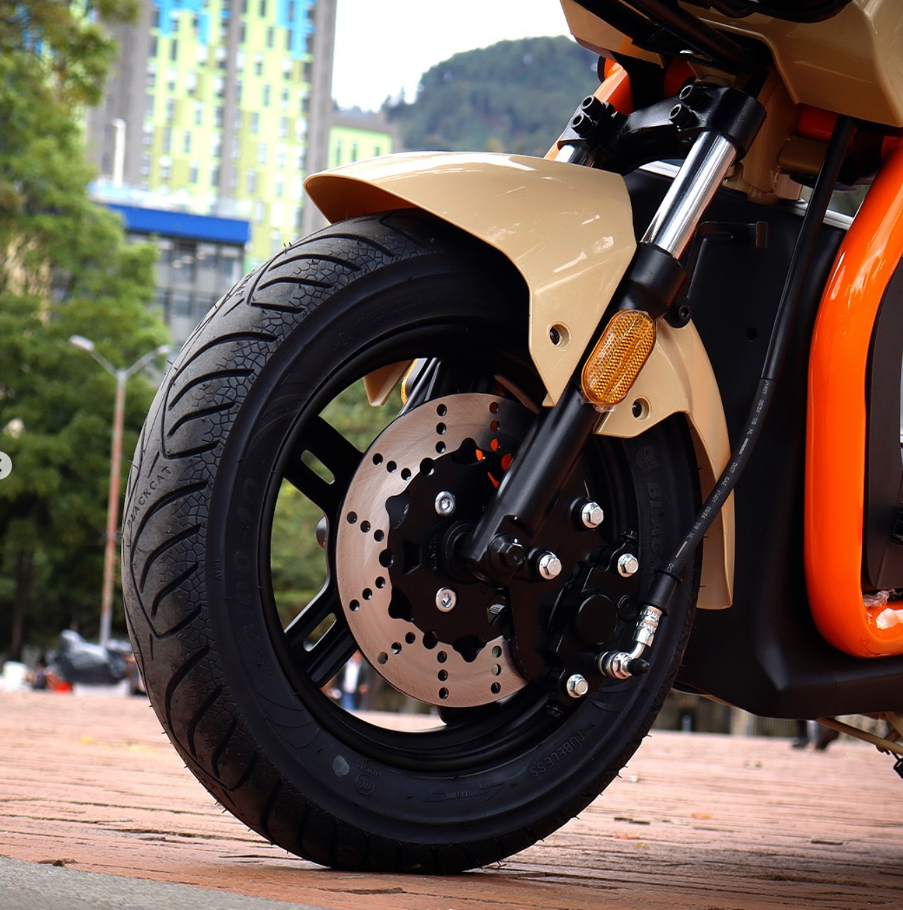 Evobike Modelo RayoPro