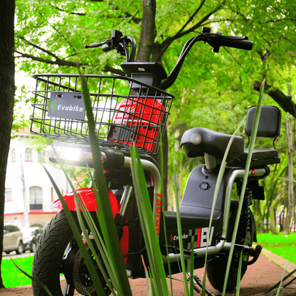 Evobike Modelo Tauro