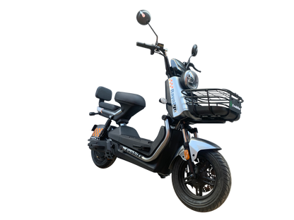 Evobike Modelo RayoPro