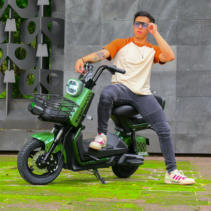 Evobike Modelo RayoPro